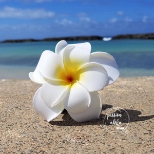 Double Plumeria Hair Clip, Tropical Hair Clip, Bride Headpiece, Wedding Hair Flower, Bridal Headpiece, Beach , Fascinator, Hawaiian, White image 2