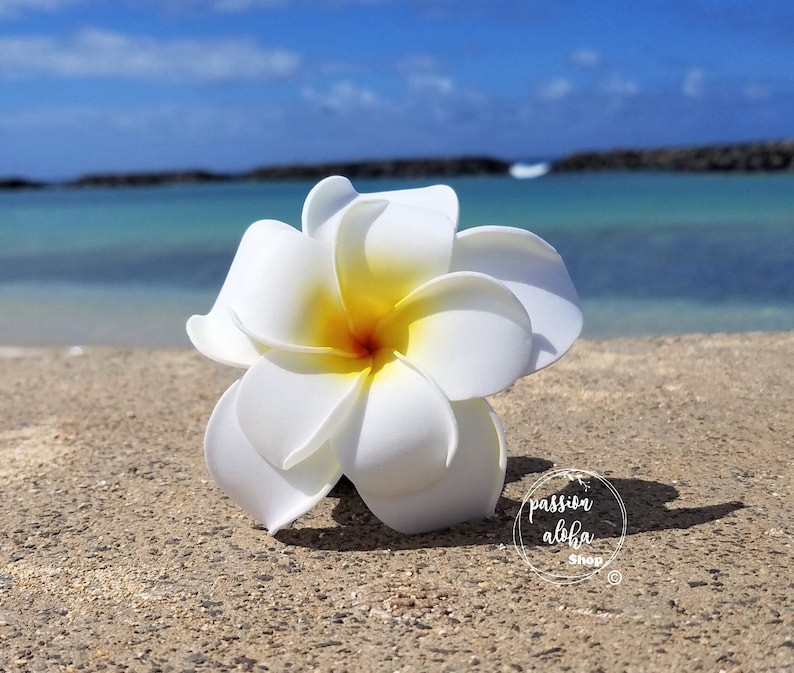 Double Plumeria Hair Clip, Tropical Hair Clip, Bride Headpiece, Wedding Hair Flower, Bridal Headpiece, Beach , Fascinator, Hawaiian, White image 2