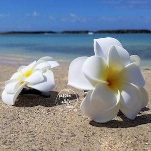 Double Plumeria Hair Clip, Tropical Hair Clip, Bride Headpiece, Wedding Hair Flower, Bridal Headpiece, Beach , Fascinator, Hawaiian, White image 4