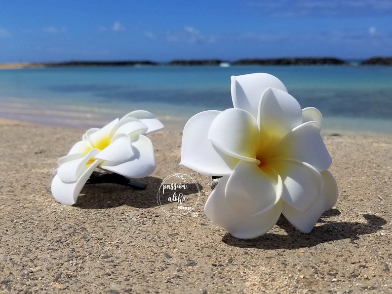 Double Plumeria Hair Clip, Tropical Hair Clip, Bride Headpiece, Wedding Hair Flower, Bridal Headpiece, Beach , Fascinator, Hawaiian, White image 4