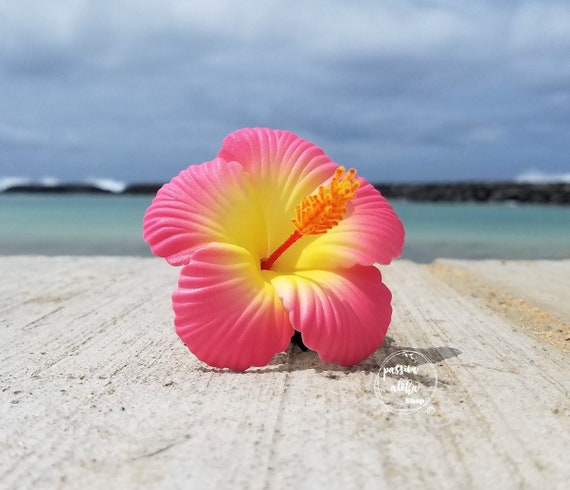 Tropical Hawaiian Flower Hair Clip Tropical Hawaiian Flower Hair Clip