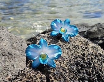 May include: Two blue and white orchid hair clips on a dark gray rock background. The orchids have a yellow center and are set against a backdrop of a body of water.