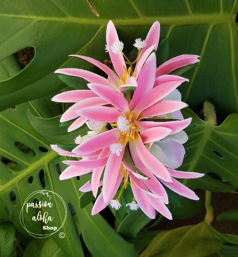 May include: Pink flower lei with white flowers and yellow centers. The lei is made of silk flowers and is perfect for a luau or tropical party.