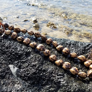May include: A brown and tan seed lei with a brown leather cord, resting on a dark gray rock with a white plumeria flower next to it.