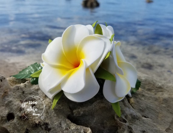 Double Plumeria Hair Clip, Tropical Hair Clip, Bride Headpiece 