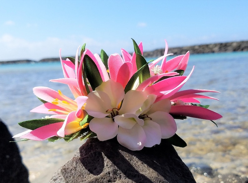 May include: A pink and white flower arrangement with green leaves. The flowers are arranged in a cluster and are sitting on a rock.