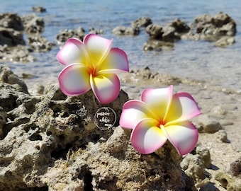 Könnte beinhalten: Zwei rosa und weiße Frangipani-Blüten mit gelben Zentren auf einem felsigen Strandhintergrund. Die Blüten sind aus Stoff und haben ein realistisches Aussehen.