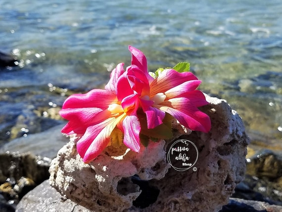 Double Orchid Hair Clip, Tropical Hair Clip, Hawaiian Flower, Fascinator, Silk Flower Hair Clip, Bridal Hair Clip, Beach Party, Pink