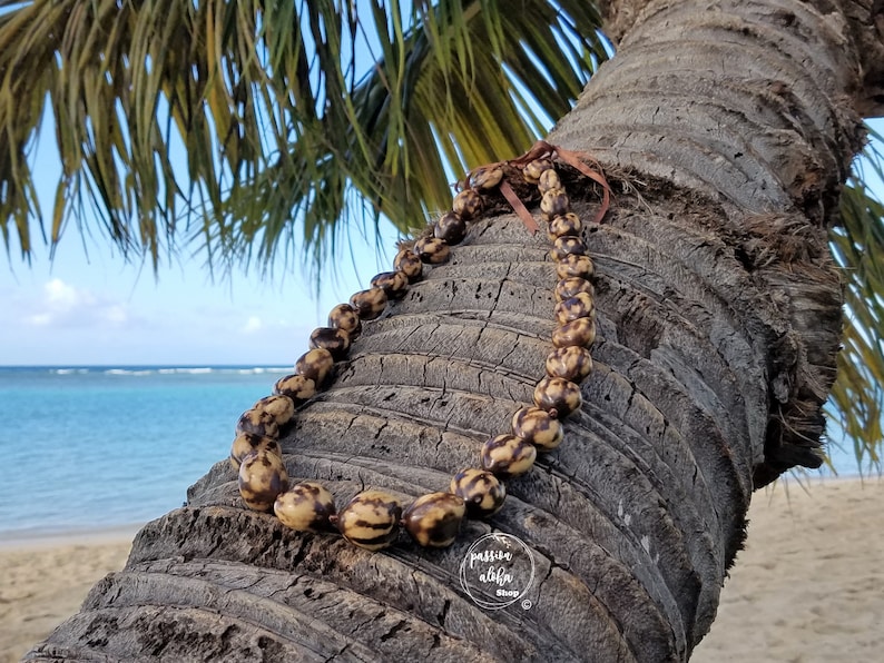 May include: A brown and tan seed necklace with a brown ribbon tied around it. The necklace is draped over a palm tree trunk with a beach and ocean in the background.