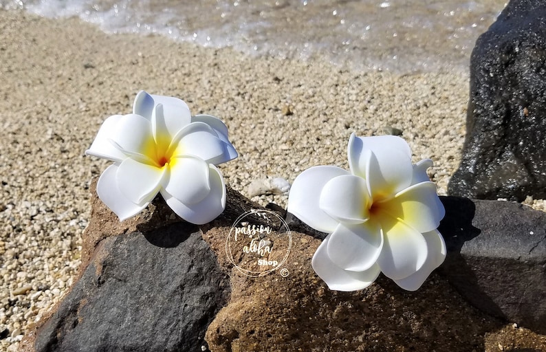 Double Plumeria Hair Clip, Tropical Hair Clip, Bride Headpiece, Wedding Hair Flower, Bridal Headpiece, Beach , Fascinator, Hawaiian, White image 7