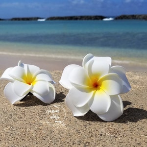 Double Plumeria Hair Clip, Tropical Hair Clip, Bride Headpiece, Wedding Hair Flower, Bridal Headpiece, Beach , Fascinator, Hawaiian, White image 3
