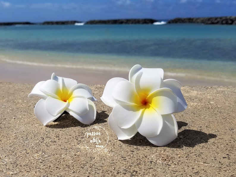 Double Plumeria Hair Clip, Tropical Hair Clip, Bride Headpiece, Wedding Hair Flower, Bridal Headpiece, Beach , Fascinator, Hawaiian, White image 3