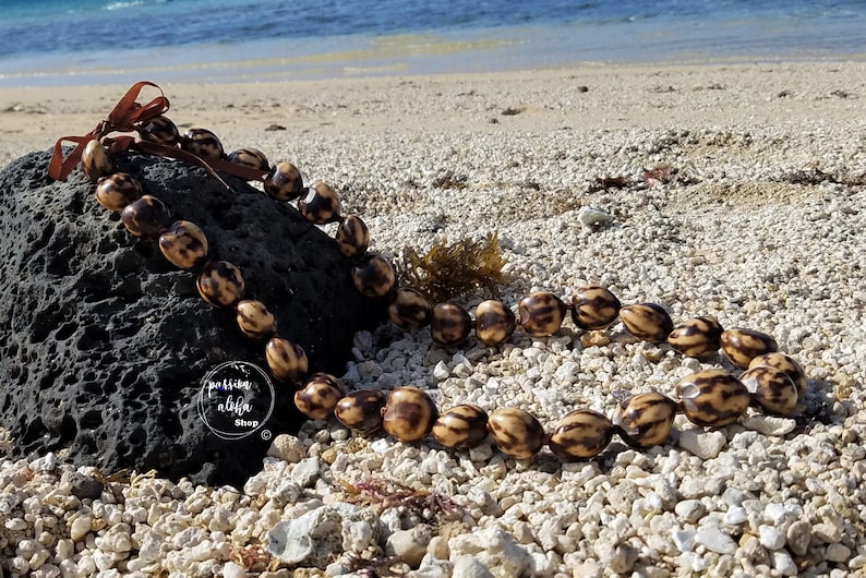 May include: A brown and black seed lei necklace on a beach with a rock and sand. The lei is tied with a brown ribbon.