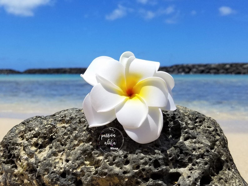 Double Plumeria Hair Clip, Tropical Hair Clip, Bride Headpiece, Wedding Hair Flower, Bridal Headpiece, Beach , Fascinator, Hawaiian, White image 5
