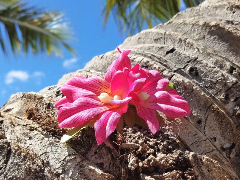 Double Orchid Hair Clip, Tropical Hair Clip, Hawaiian Flower, Fascinator, Silk Flower Hair Clip, Bridal Hair Clip, Beach Party, Pink image 4