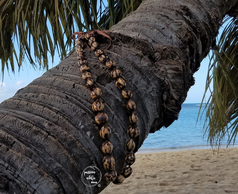 May include: A brown and black seed lei draped over a palm tree trunk with a beach and ocean in the background. The lei is made of natural materials and has a rustic look.