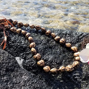 May include: A brown and black seed lei with a brown ribbon, resting on a dark gray rock with a white orchid flower. The lei is made of natural materials and is a traditional Hawaiian symbol of love and respect.