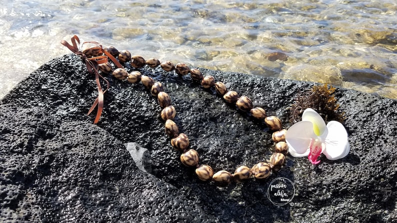 May include: A brown and black seed lei with a brown ribbon, resting on a dark gray rock with a white orchid flower. The lei is made of natural materials and is a traditional Hawaiian symbol of love and respect.