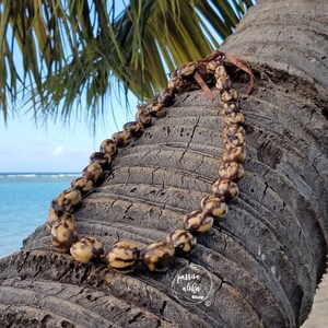 May include: A brown and white seed necklace with a brown ribbon, hanging on a palm tree trunk. The necklace is made of natural materials and has a rustic look. The background is a beach scene with blue water and white sand.