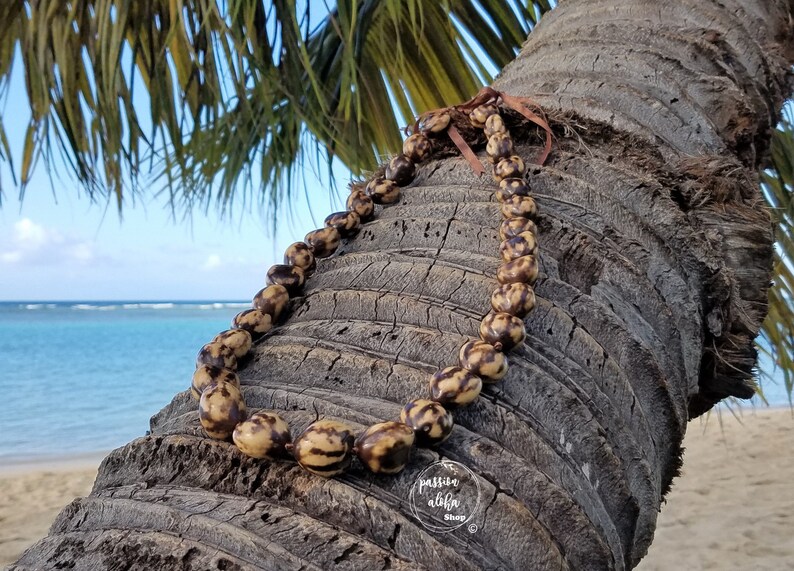 May include: A brown and white seed necklace with a brown ribbon, hanging on a palm tree trunk. The necklace is made of natural materials and has a rustic look. The background is a beach scene with blue water and white sand.