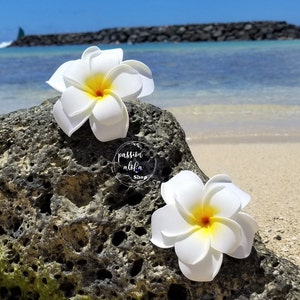 Double Plumeria Hair Clip, Tropical Hair Clip, Bride Headpiece, Wedding Hair Flower, Bridal Headpiece, Beach , Fascinator, Hawaiian, White image 6