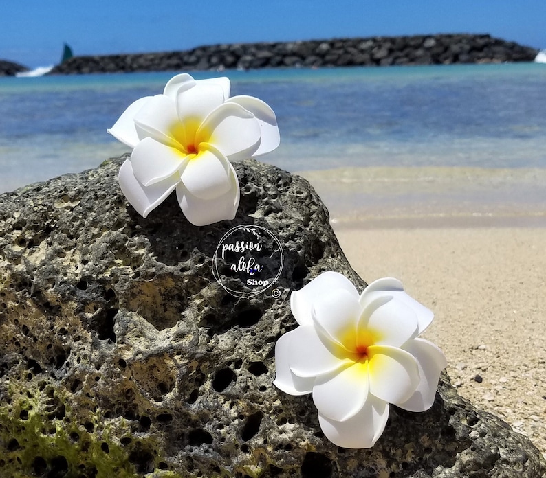 Double Plumeria Hair Clip, Tropical Hair Clip, Bride Headpiece, Wedding Hair Flower, Bridal Headpiece, Beach , Fascinator, Hawaiian, White image 6