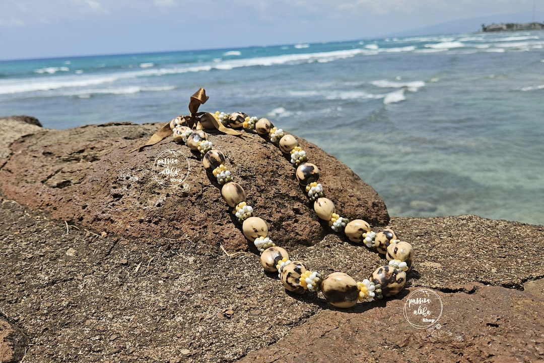 Unique Shell Lei Kukui Nut Lei With Multicolor Mongo Shell – Hawaiian Jewelry, Shell ...