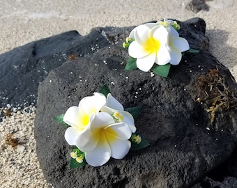 May include: Two white plumeria flower arrangements with yellow centers on a black rock. The flowers are surrounded by green leaves.