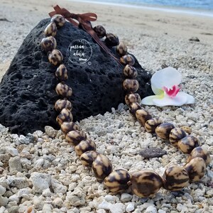 May include: A brown and white seed lei with a brown ribbon on a beach with a white orchid.