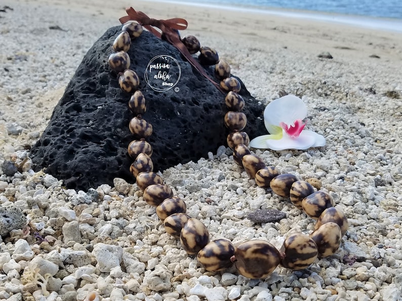 May include: A brown and white seed lei with a brown ribbon on a beach with a white orchid.