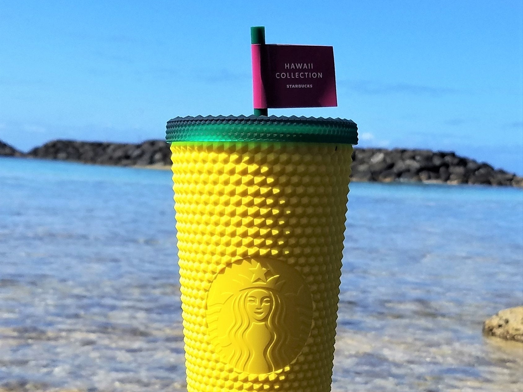 Starbucks Hawaii Collection Exclusive Pineapple Studded Etsy