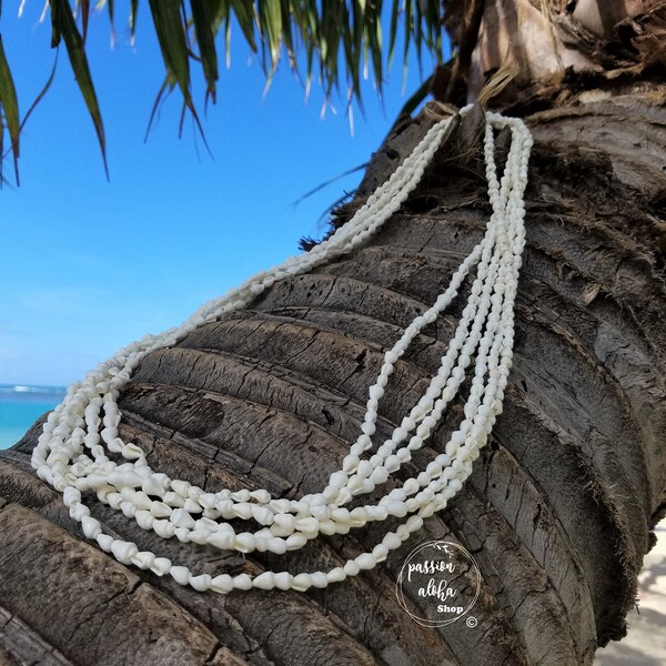 Seashell Necklace Etsy