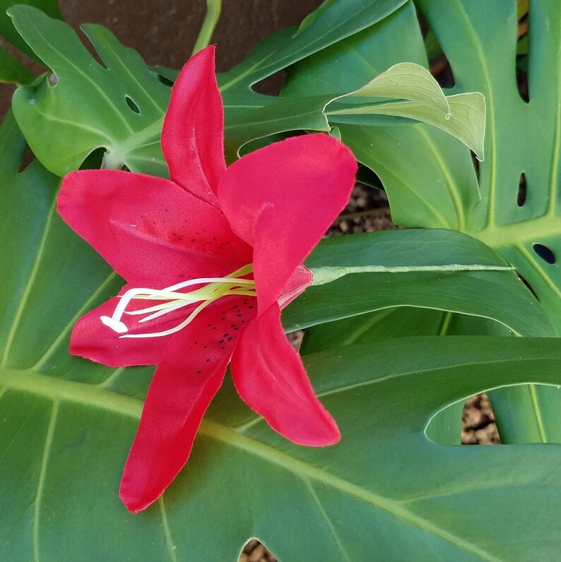 Hawaiian Lily Flower Blossom Hair Pick Silk Flower Hair Etsy
