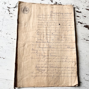 Vintage French Document 1859-Digital Download