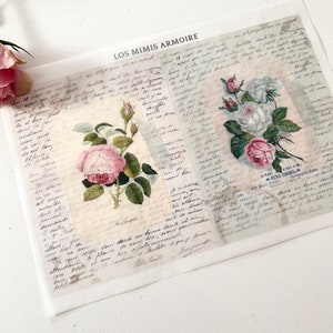 Roses on French document Digital Download