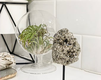 Pyrite on a Pin Stand | Pyrite on a Metal Stand
