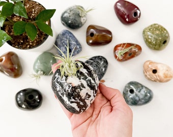 Pen / Air Plant Holder Crystal Accent | Perfect Office & Home Decor Gift