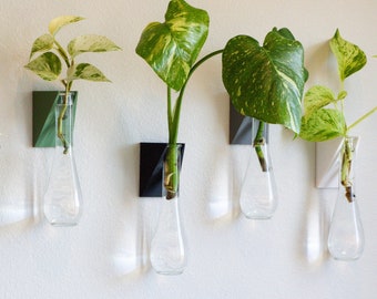 Wall Mount Vase | Propagation Station | Hanging Bud Vase | Test Tube Planter | Plant Lover Gift | Indoor Plant Wall Holder