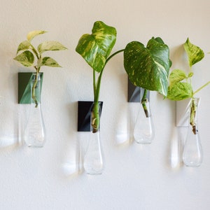 Wall Mount Vase | Propagation Station | Hanging Bud Vase | Test Tube Planter | Plant Lover Gift | Indoor Plant Wall Holder