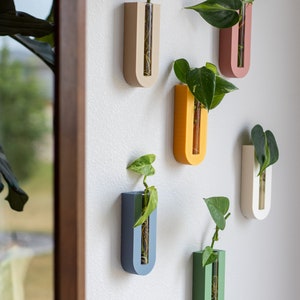 Puede incluir: Seis macetas de pared de colores con tubos de vidrio transparentes para contener plantas peque&ntilde;as. Las macetas son en tonos beige, rosa, amarillo, azul y verde.