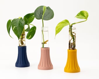 Bud Vase, Plant Propagation Holder, Plant Vase, Wedding Flower Table Centerpiece, Flower Bud Glass Tube