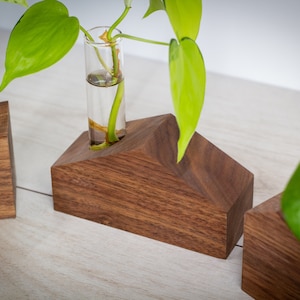 Solid Walnut Propagation Station Houses Wooden Plant Decor Plant Lover Gift Indoor Plants Tube Vase Plant Holder image 7