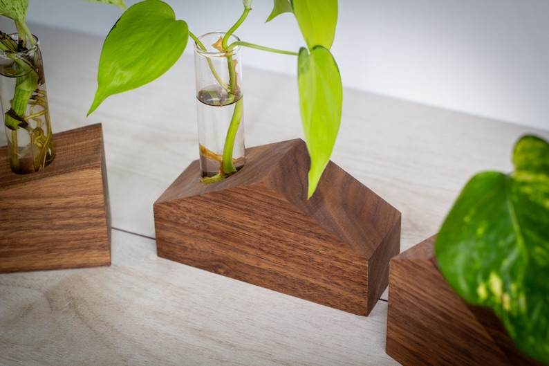 Solid Walnut Propagation Station Houses Wooden Plant Decor Plant Lover Gift Indoor Plants Tube Vase Plant Holder image 7