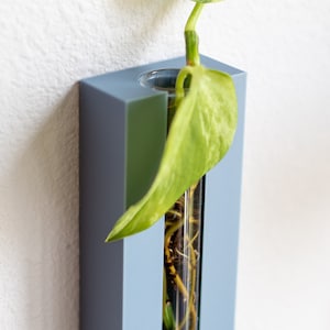 Puede incluir: Un macetero de pared azul claro con un tubo de vidrio transparente para sostener una planta. Una planta de hoja variegada con marcas verdes y blancas est&aacute; creciendo en el tubo.
