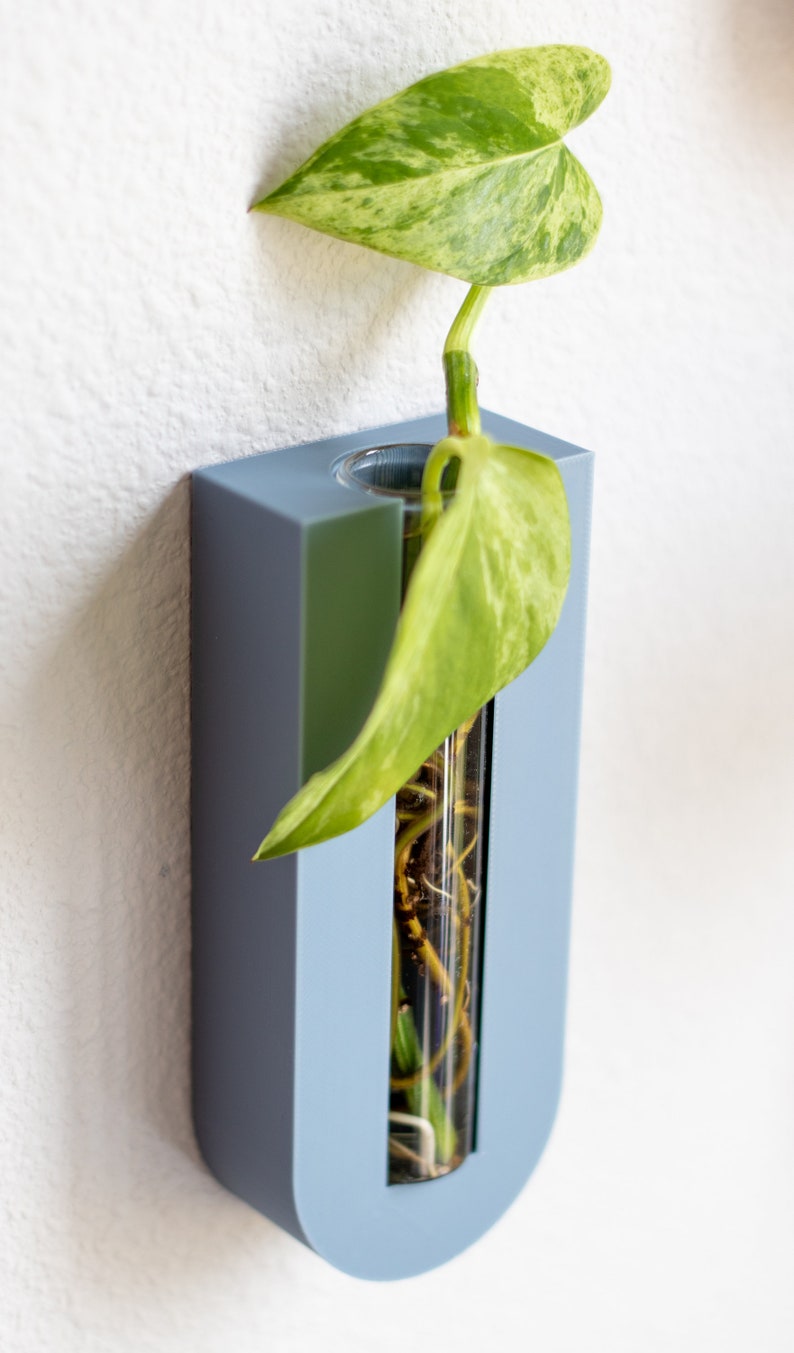 Puede incluir: Un macetero de pared azul claro con un tubo de vidrio transparente para sostener una planta. Una planta de hoja variegada con marcas verdes y blancas est&aacute; creciendo en el tubo.