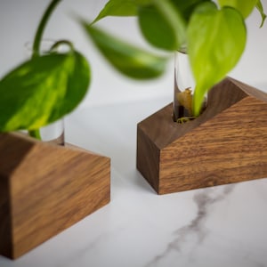 Solid Walnut Propagation Station Houses Wooden Plant Decor Plant Lover Gift Indoor Plants Tube Vase Plant Holder image 5