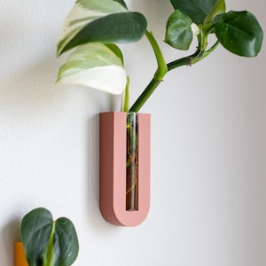 Puede incluir: Dos soportes para plantas de pared con tubos de vidrio transparentes. El soporte de la izquierda es amarillo y el de la derecha es rosa. Ambos soportes tienen una planta con hojas verdes en su interior.