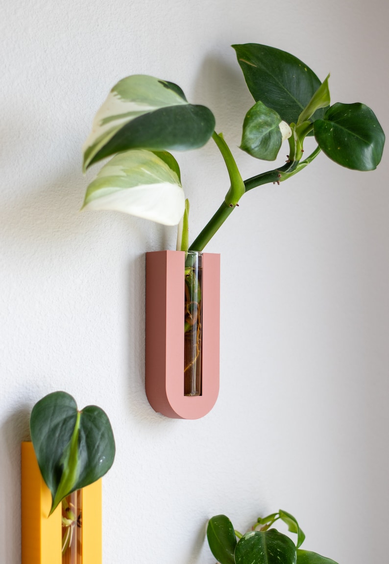 Puede incluir: Dos soportes para plantas de pared con tubos de vidrio transparentes. El soporte de la izquierda es amarillo y el de la derecha es rosa. Ambos soportes tienen una planta con hojas verdes en su interior.