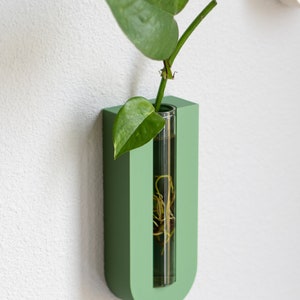 Puede incluir: Un macetero de pared verde en forma de U con un tubo de vidrio transparente para sostener una planta peque&ntilde;a. La planta tiene hojas verdes y ra&iacute;ces visibles en el agua.
