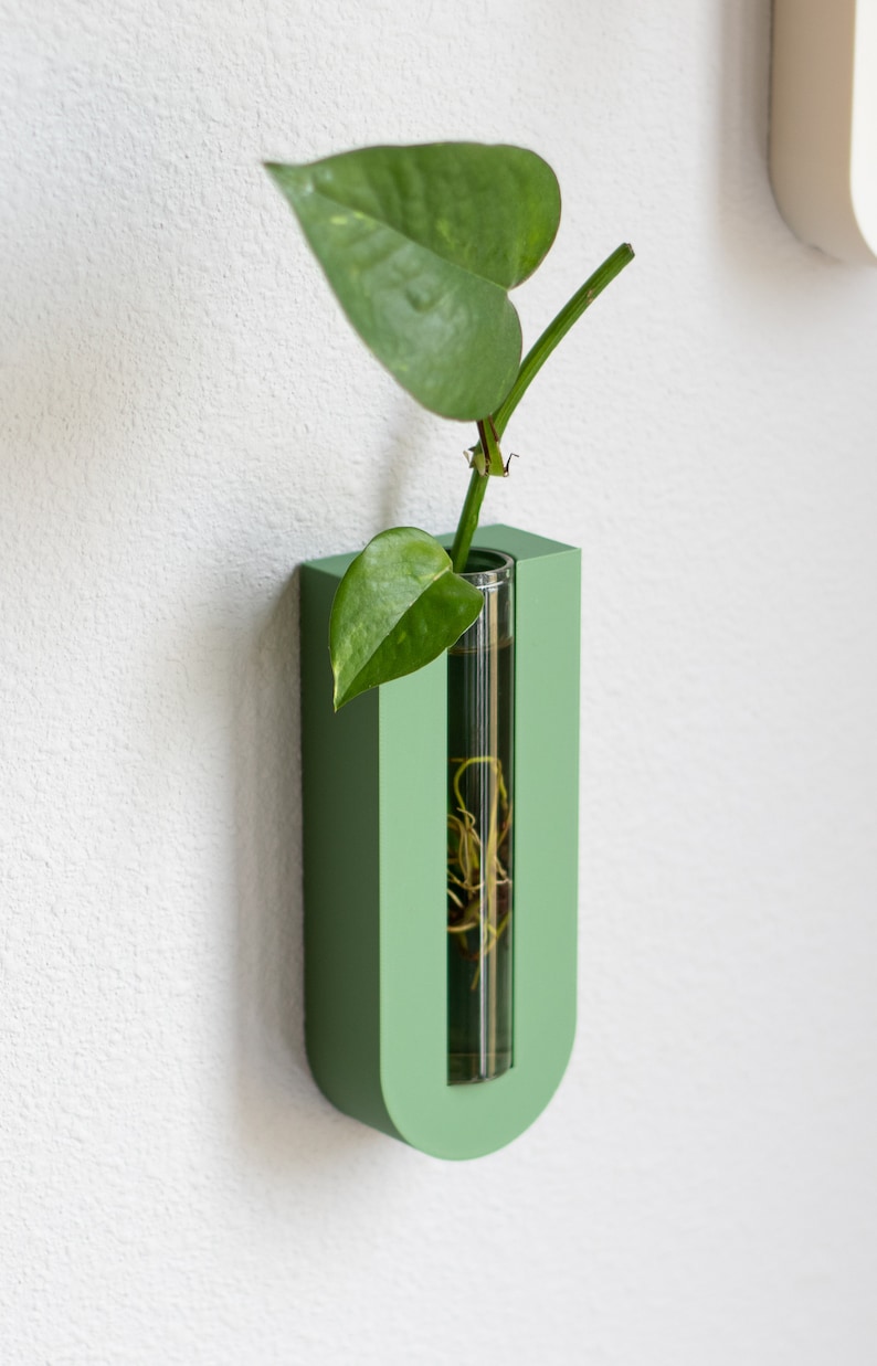 Puede incluir: Un macetero de pared verde en forma de U con un tubo de vidrio transparente para sostener una planta peque&ntilde;a. La planta tiene hojas verdes y ra&iacute;ces visibles en el agua.